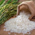 Leading Rice Exporter