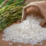 Profitable Rice Exporter